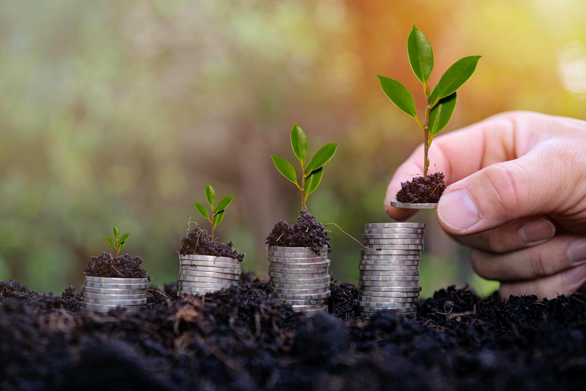 Aramco announces a $1.5 billion sustainability fund